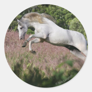 Fantastische paarden: lentekallop ronde sticker