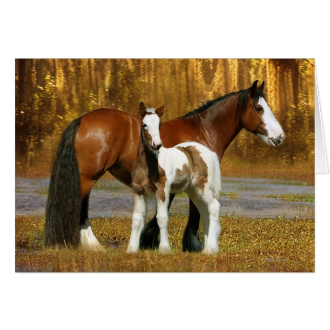 Fantastische paarden: Mare & Foal (Voorkant Horizontaal)