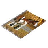 Fantastische paarden: Mare & Foal Notitieboek (Linkerzijde)