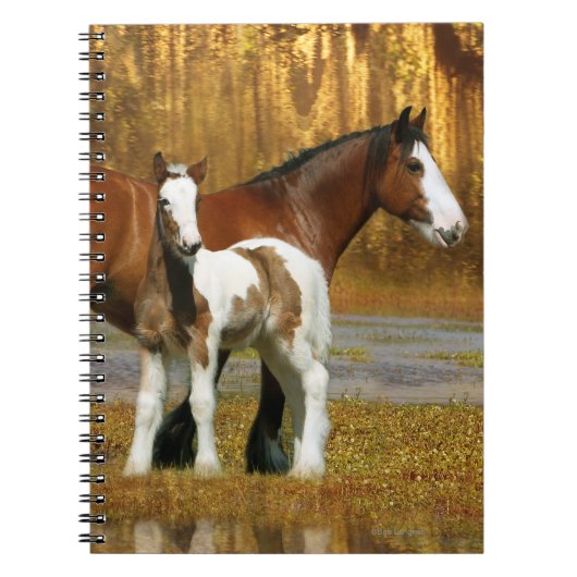 Fantastische paarden: Mare & Foal Notitieboek (Voorkant)