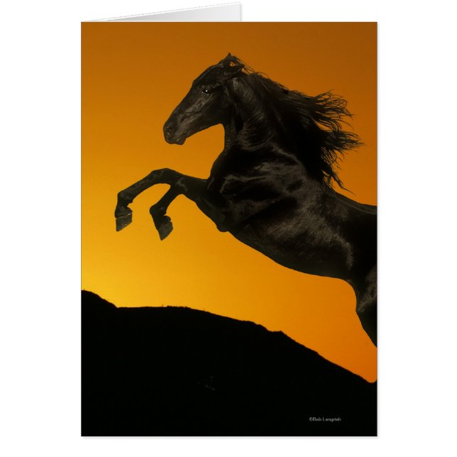 Fantastische paarden: Mountain Sunset (Voorkant)