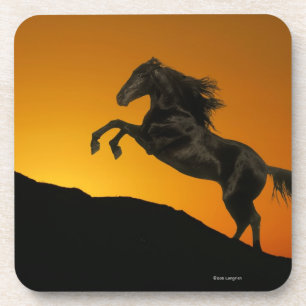 Fantastische paarden: Mountain Sunset Drankjes Onderzetter