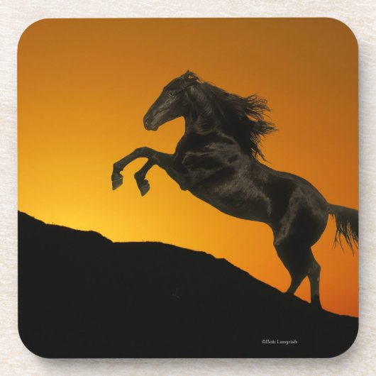 Fantastische paarden: Mountain Sunset Drankjes Onderzetter (Voorkant)