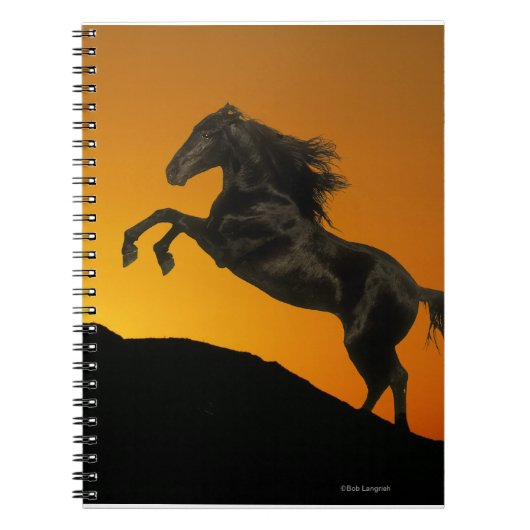 Fantastische paarden: Mountain Sunset Notitieboek (Voorkant)