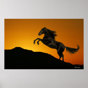 Fantastische paarden: Mountain Sunset Poster