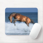 Fantastische paarden: Selle Francais & Zee Muismat (Met muis)