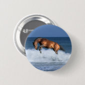 Fantastische paarden: Selle Francais & Zee Ronde Button 5,7 Cm (Voorkant /achterkant)