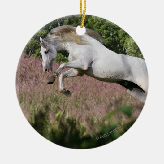 Fantastische paarden: Spring Gallop Keramisch Ornament (Voorkant)