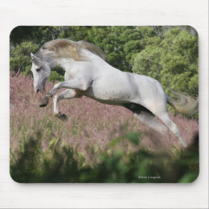 Fantastische paarden: Spring Gallop Muismat