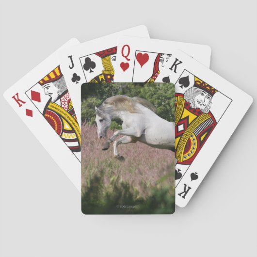 Fantastische paarden: Spring Gallop Pokerkaarten (Achterkant)