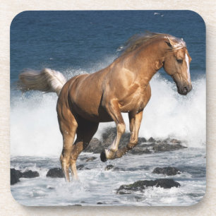 Fantastische paarden: Summer Splash Drankjes Onderzetter