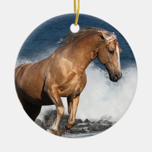 Fantastische paarden: Summer Splash Keramisch Ornament (Voorkant)