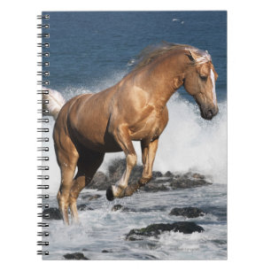Fantastische paarden: Summer Splash Notitieboek