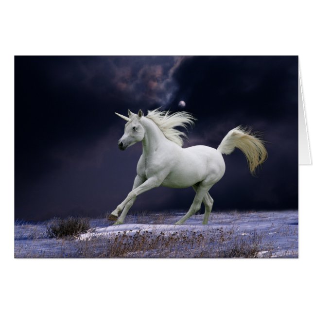 Fantastische paarden: Unicorn (Voorkant Horizontaal)