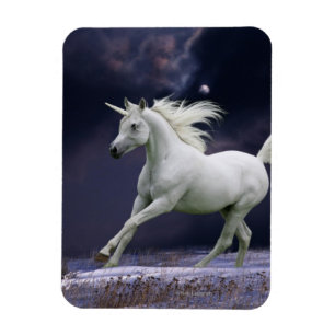 Fantastische paarden: Unicorn Magneet