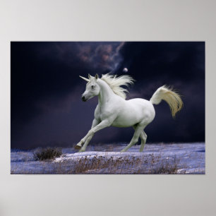 Fantastische paarden: Unicorn Poster