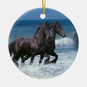 Fantastische paarden: Vrienden en Zee Keramisch Ornament