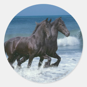 Fantastische paarden: Vrienden en Zee Ronde Sticker