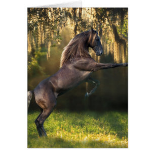 Fantastische paarden: Warrior Prince