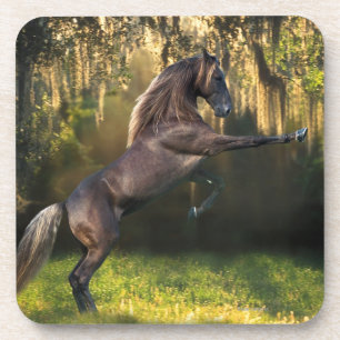 Fantastische paarden: Warrior Prince Drankjes Onderzetter