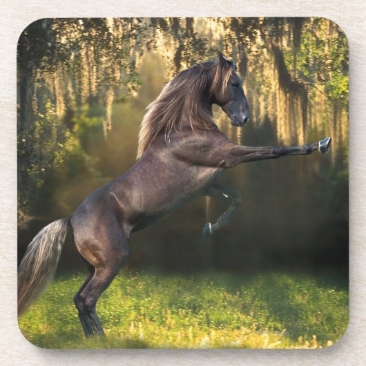 Fantastische paarden: Warrior Prince Drankjes Onderzetter (Voorkant)