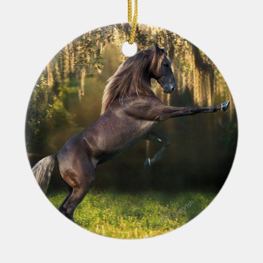 Fantastische paarden: Warrior Prince Keramisch Ornament (Voorkant)