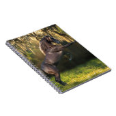 Fantastische paarden: Warrior Prince Notitieboek (Rechterzijde)