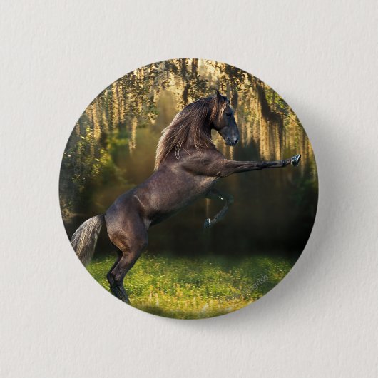 Fantastische paarden: Warrior Prince Ronde Button 5,7 Cm (Voorkant)