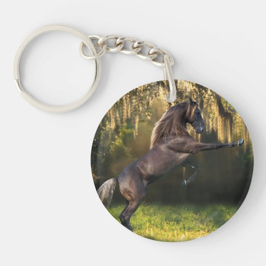 Fantastische paarden: Warrior Prince Sleutelhanger (Voorkant)