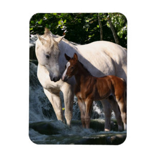 Fantastische paarden: Waterval Magneet