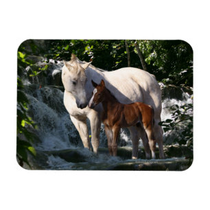 Fantastische paarden: Waterval Magneet