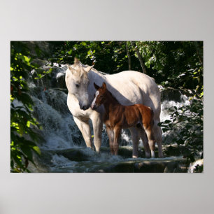 Fantastische paarden: Waterval Poster