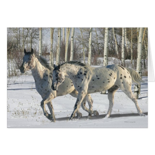 Fantastische paarden: Winter Wonderland (Voorkant Horizontaal)