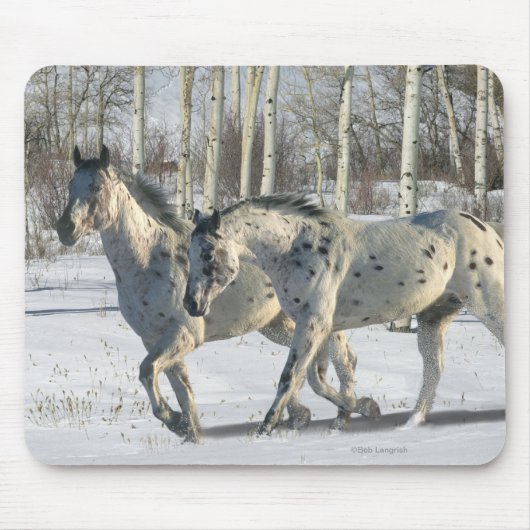 Fantastische paarden: Winter Wonderland Muismat (Voorkant)