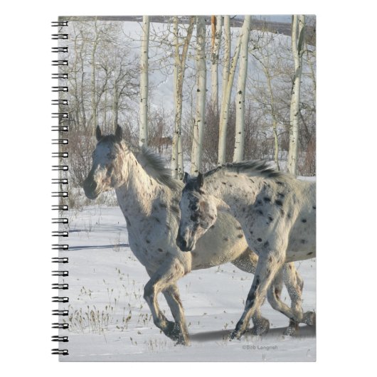 Fantastische paarden: Winter Wonderland Notitieboek (Voorkant)