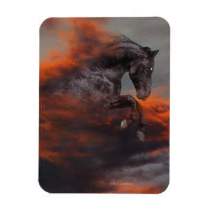 Fantastische paarden: Wolken Magneet