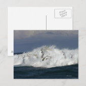 Fantastische paarden: Zee Briefkaart (Voorkant / Achterkant)