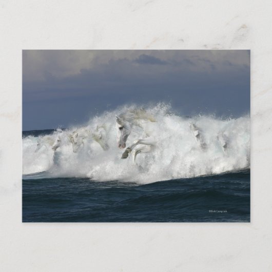 Fantastische paarden: Zee Briefkaart (Voorkant)