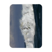 Fantastische paarden: Zee Magneet (Verticaal)