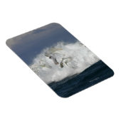 Fantastische paarden: Zee Magneet (Rechterzijde)