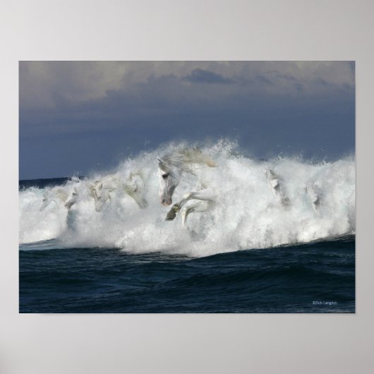 Fantastische paarden: Zee Poster (Voorkant)