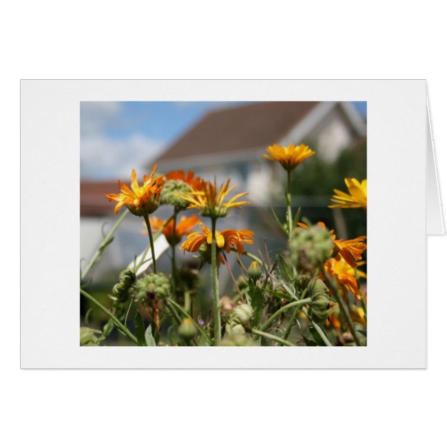 Fantastische schoonheid (Voorkant Horizontaal)