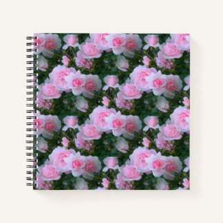 Fantastische schoonheid.... notitieboek