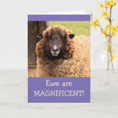 Fantastische Sheep Happy Birthday Kaart (Gele Bloem)