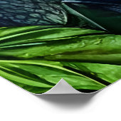 Fantastische sla in het bos | AI Art Poster (Hoek)