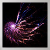 Fantastische veren - Poster (Voorkant)