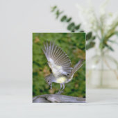 Fantastische vliegenvanger briefkaart (Staand voorkant)