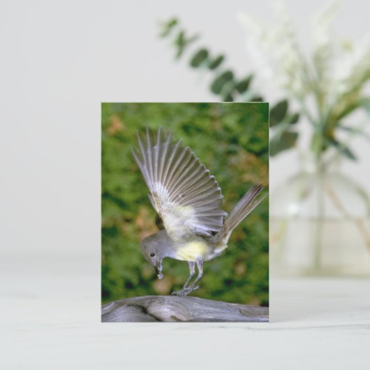 Fantastische vliegenvanger briefkaart (Staand voorkant)