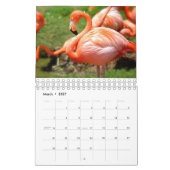 Fantastische vogelfotografie kalender (Mar 2027)