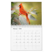 Fantastische vogelfotografie kalender (Feb 2026)
